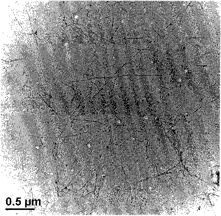 Method for preparing carbon nanotube film by removing residual dispersant by alkali treatment