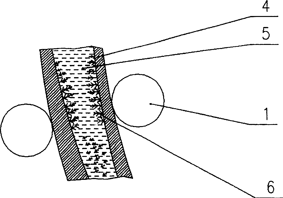 Method for improving continuous casting blank quality and vibration support roller device