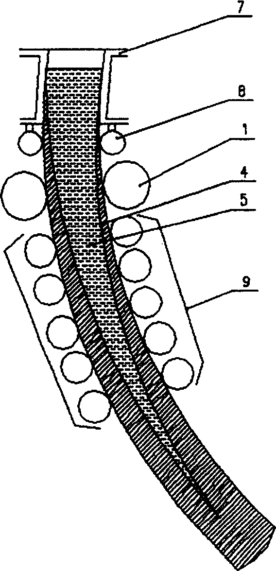 Method for improving continuous casting blank quality and vibration support roller device