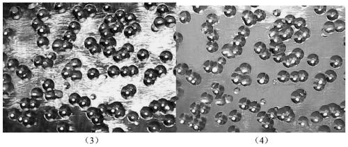 Digital shot blasting coverage rate measurement method based on computer vision technology