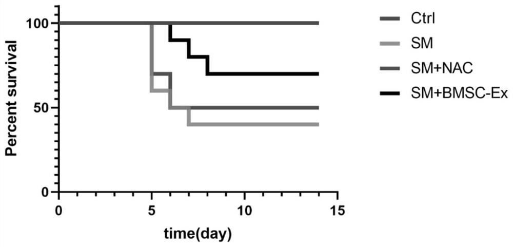 Application of exosome derived from mesenchymal stem cells in preparation of medicine for treating acute lung injury caused by sulfur mustard