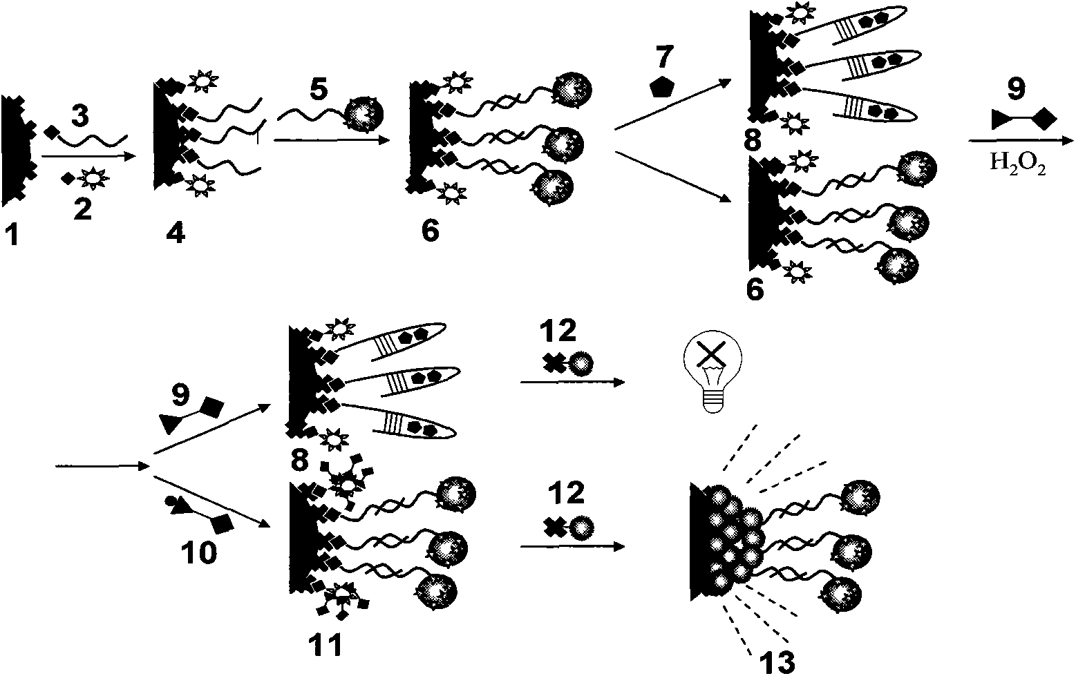 Adenosine detecting method based on micro-fluidic chip and nucleic acid adapter technology