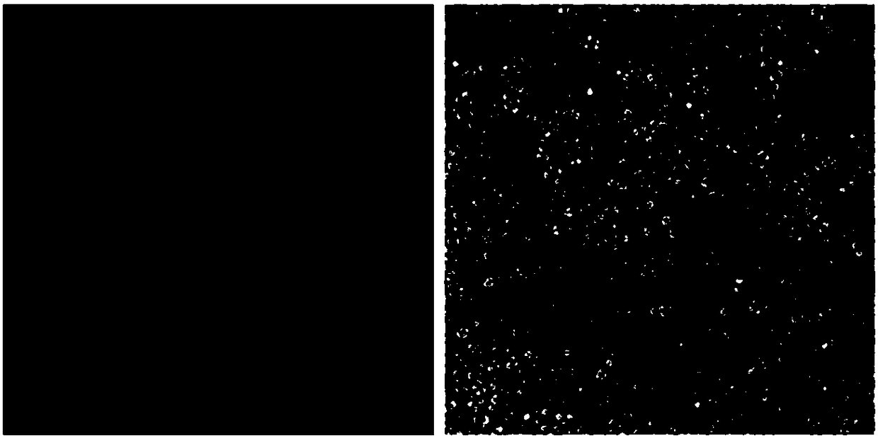 Stable cell line MDCK for amplifying recombinant canine adenovirus (CAV2) and construction method of stable cell line