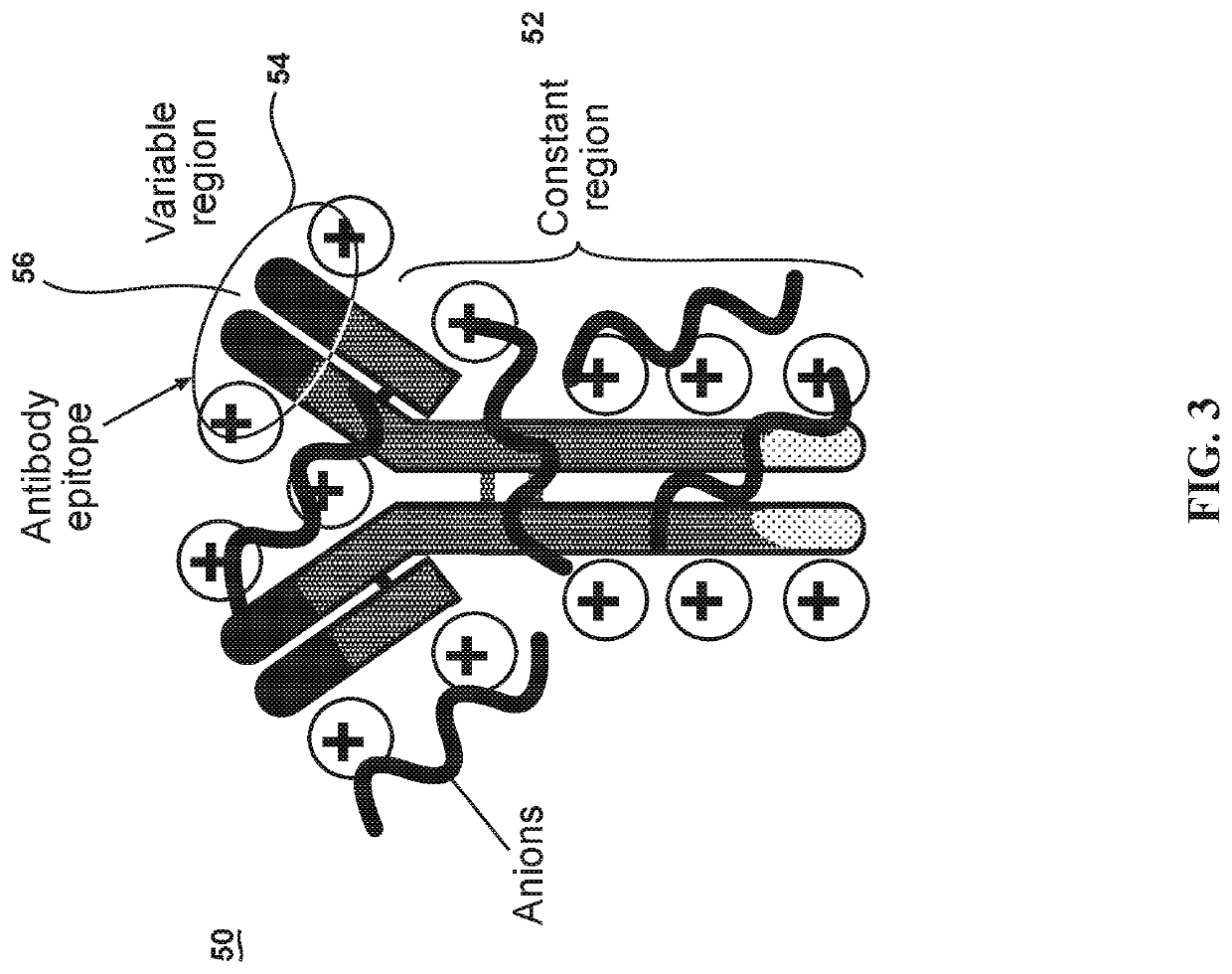 Ultrastable antibody ionic liquids