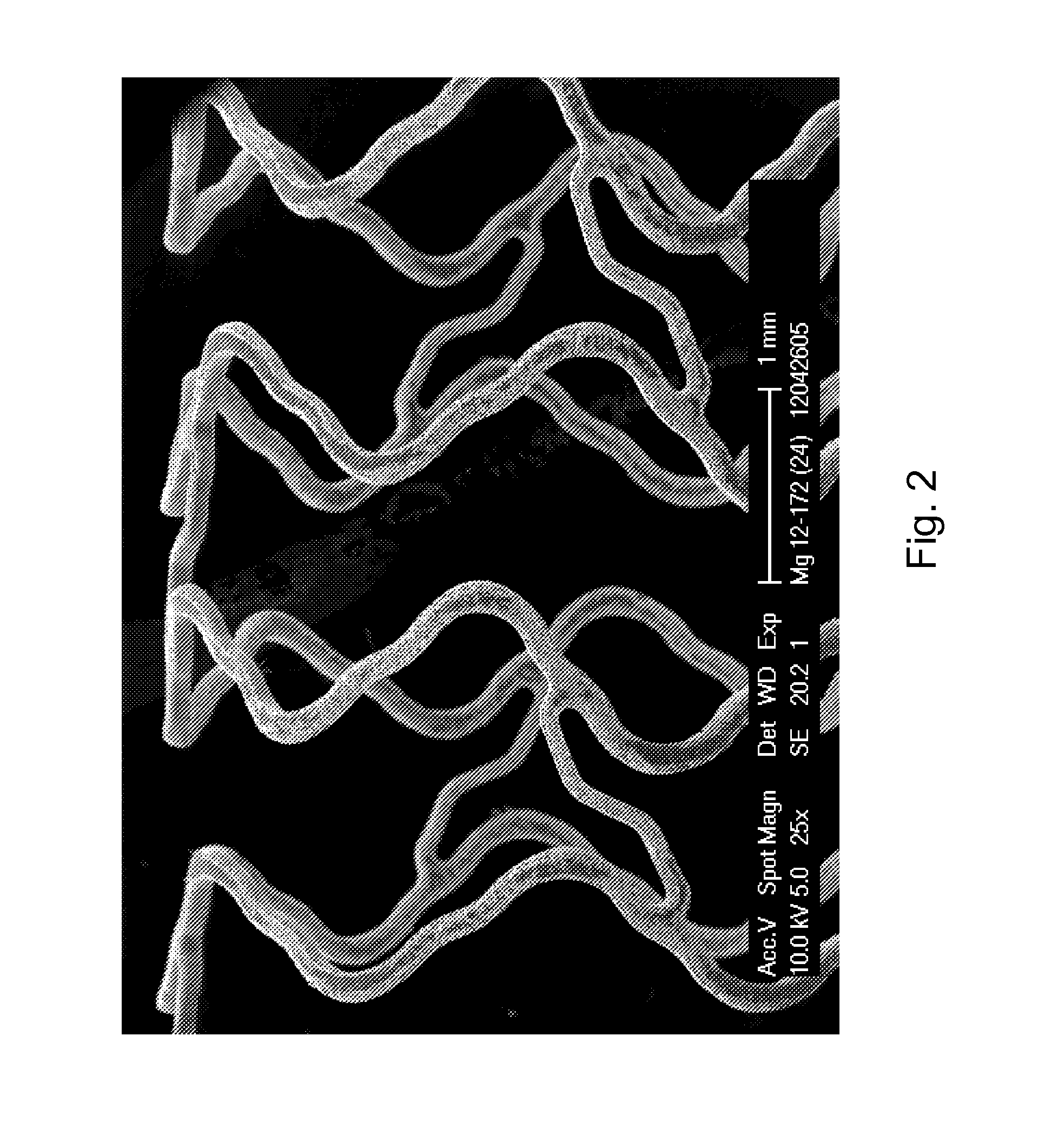 Microstructured Absorbable Implant