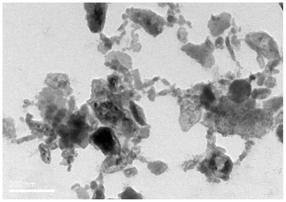 Preparation method of antimonene-based tumor targeted drug-loaded nanoparticles