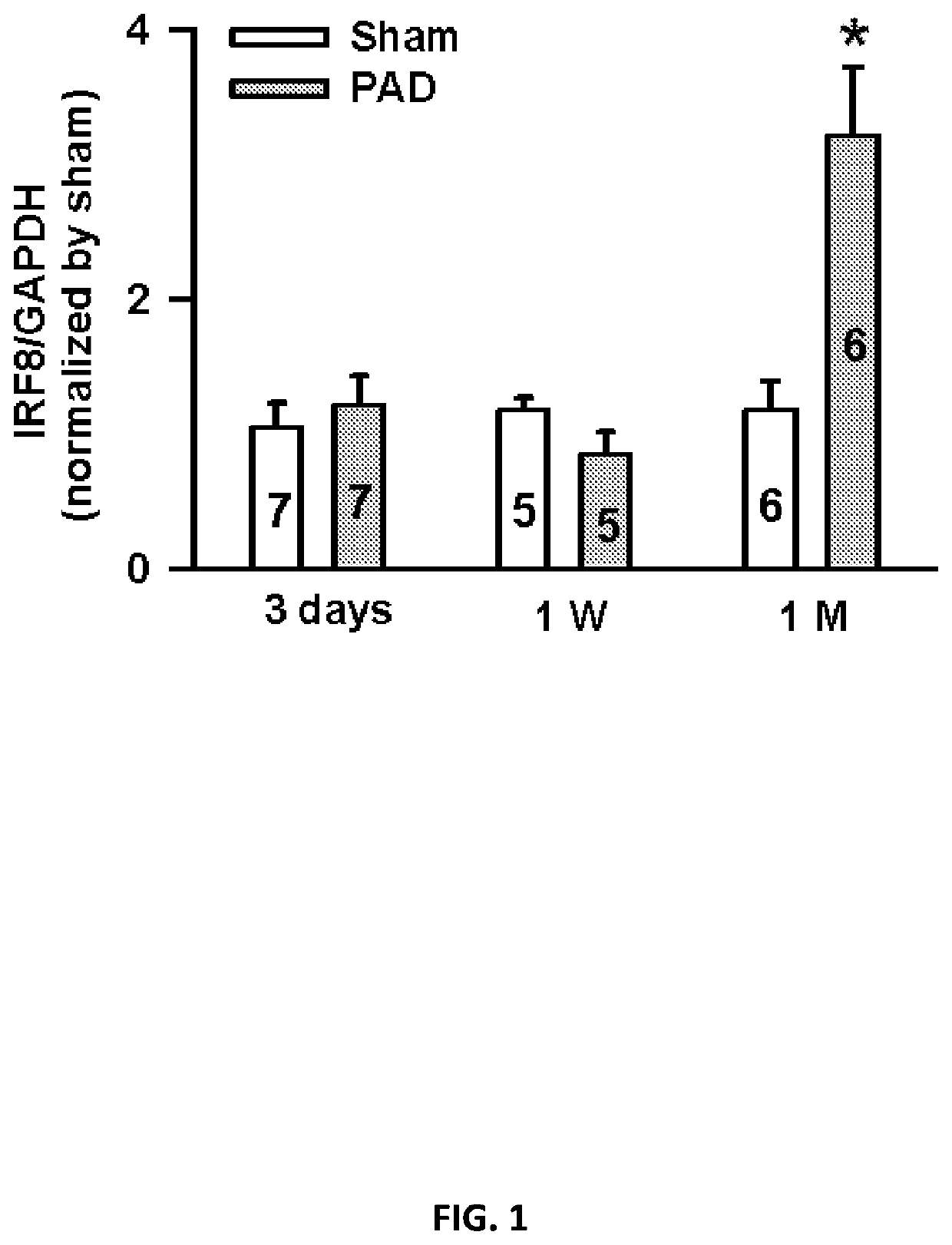 Compositions and methods for the treatment of peripheral artery disease and cardiopulmonary diseases