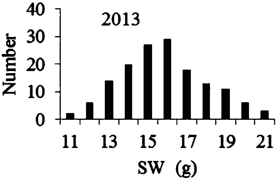 Molecular marking method related to soybean hundred-grain weight and marker combination acquired thereby