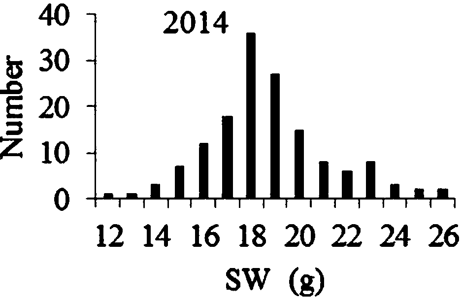 Molecular marking method related to soybean hundred-grain weight and marker combination acquired thereby