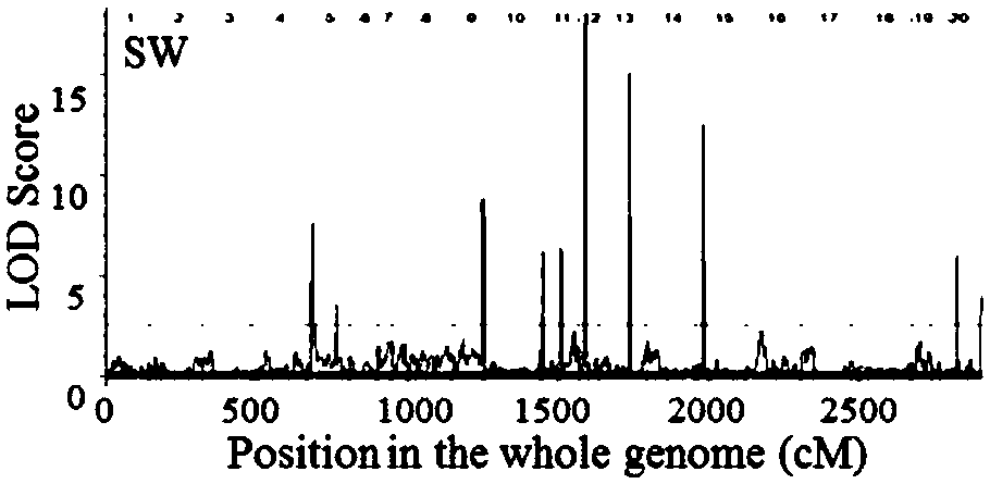 Molecular marking method related to soybean hundred-grain weight and marker combination acquired thereby