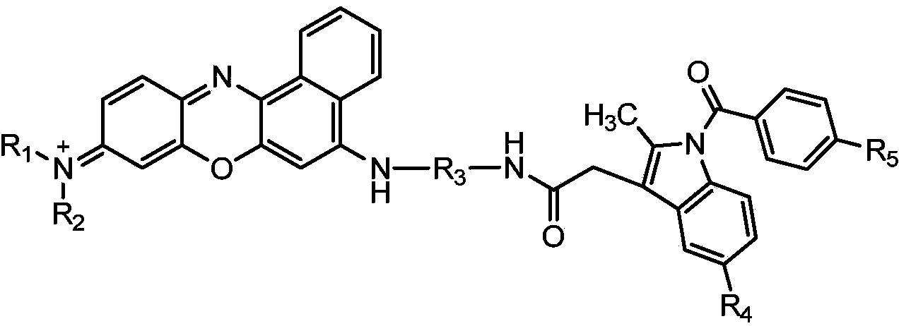 Near infrared fluorescence probe adopting nile blue as parent, preparation method thereof and applications thereof