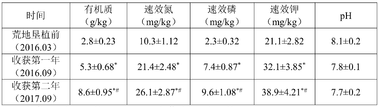 A kind of high-yield cultivation method of peanut in desert area