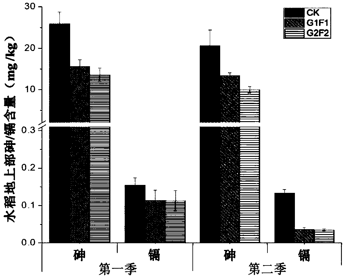 Method for inhibiting rice from absorbing arsenic and cadmium by using gypsum composite