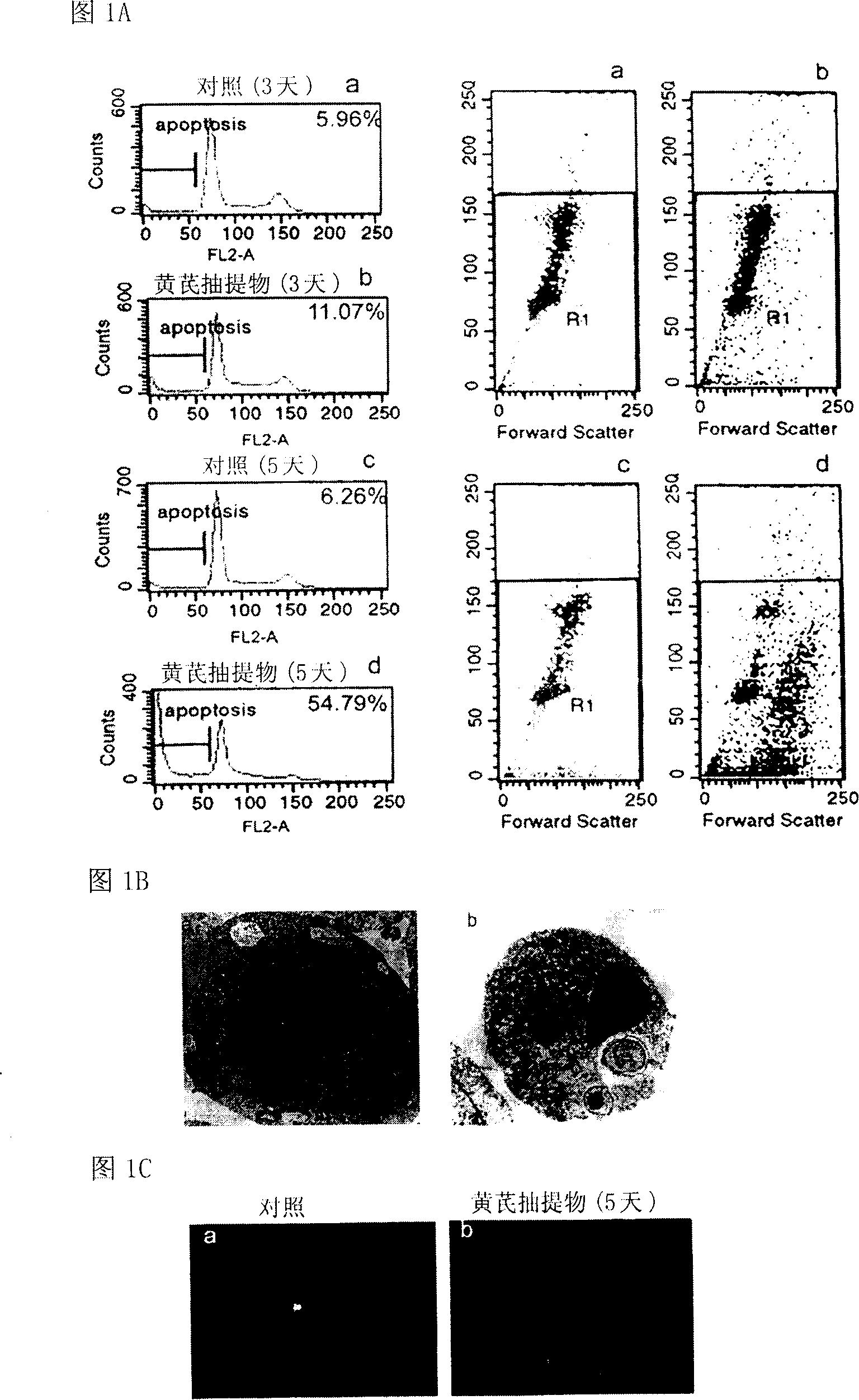 Medicine for inducing cells to die, and its application