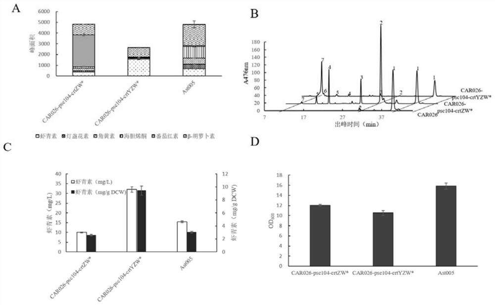 Construction and application of astaxanthin synthesis strain