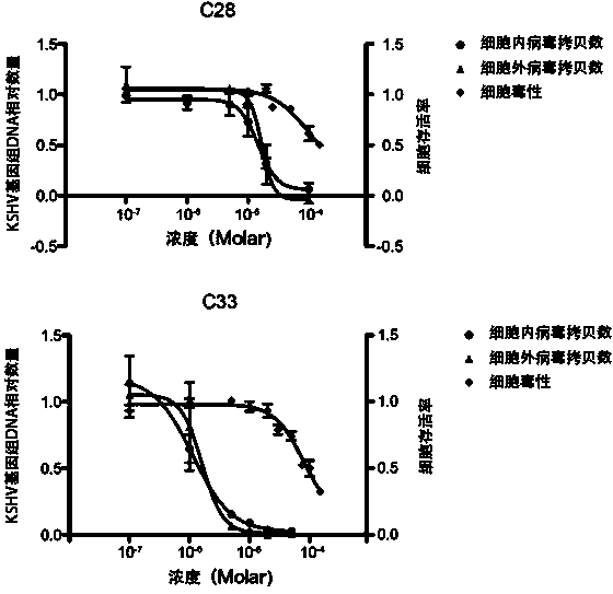 Application of benzo Alpha-pyrone compound as Gamma-type human herpes virus-resistant medicine