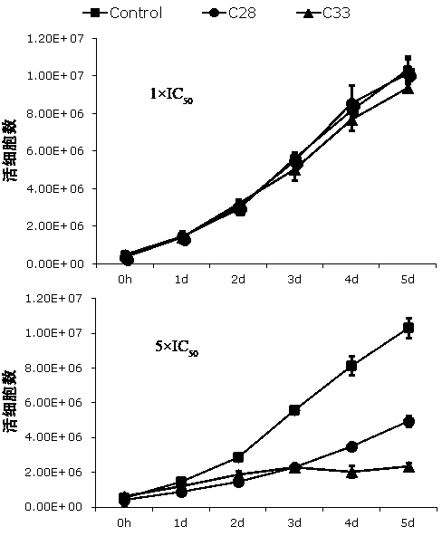 Application of benzo Alpha-pyrone compound as Gamma-type human herpes virus-resistant medicine