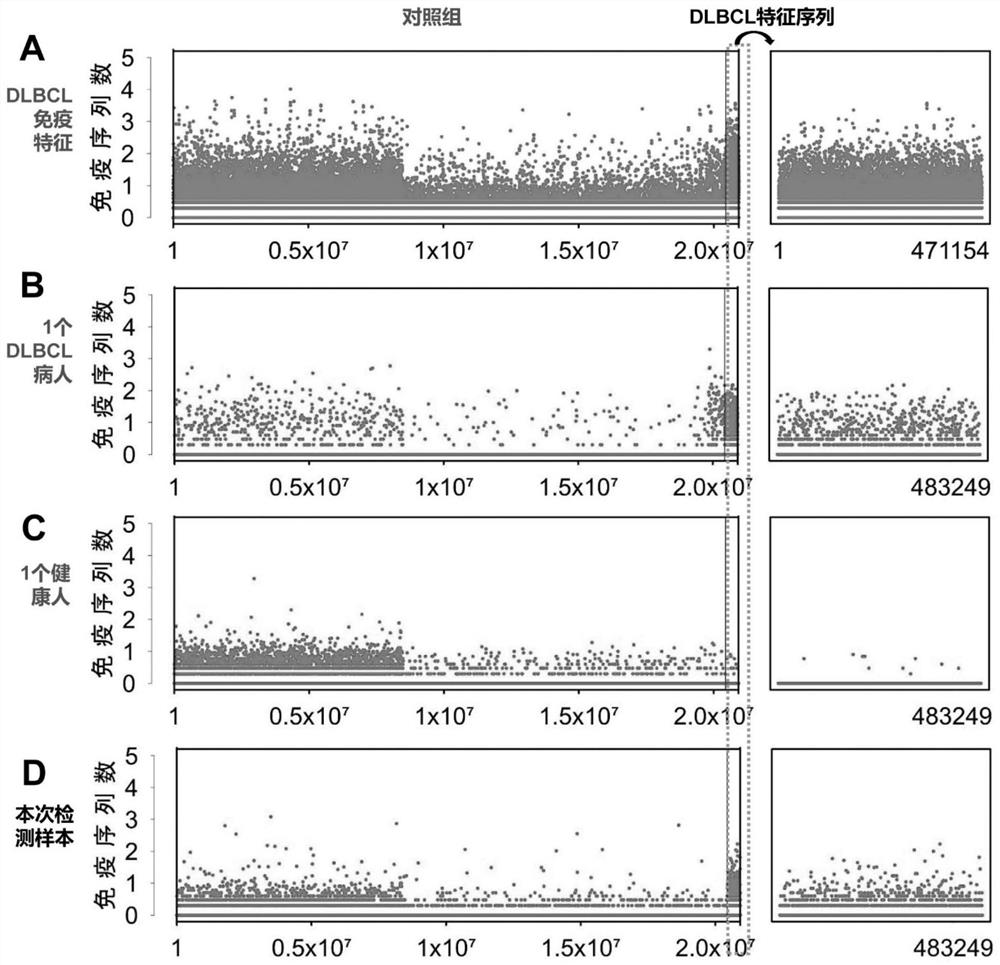 Peripheral blood TCR marker of diffuse large B-cell lymphoma as well as detection kit and application of peripheral blood TCR marker