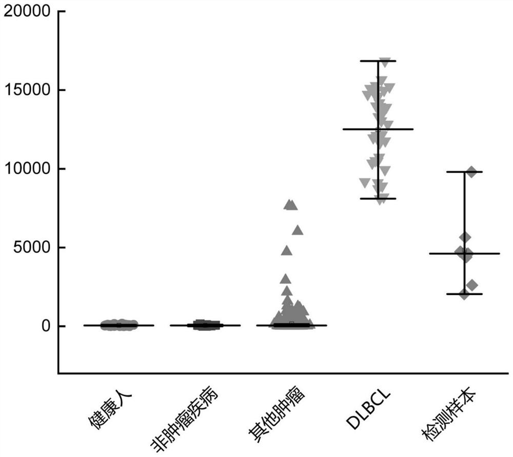 Peripheral blood TCR marker of diffuse large B-cell lymphoma as well as detection kit and application of peripheral blood TCR marker