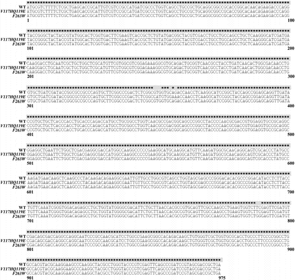 Enzymatic performance improved methyl parathion hydrolase mutant and application thereof