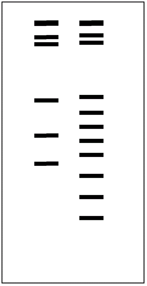 Flight mass spectrum biochip for innate potential assessment and its detection method