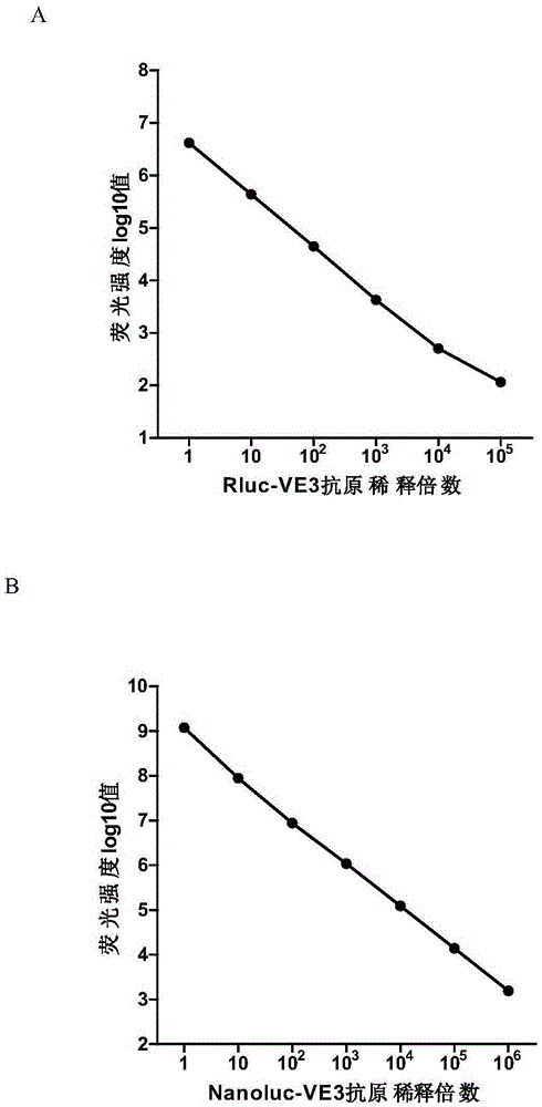 System for detecting tick-borne encephalitis virus infection