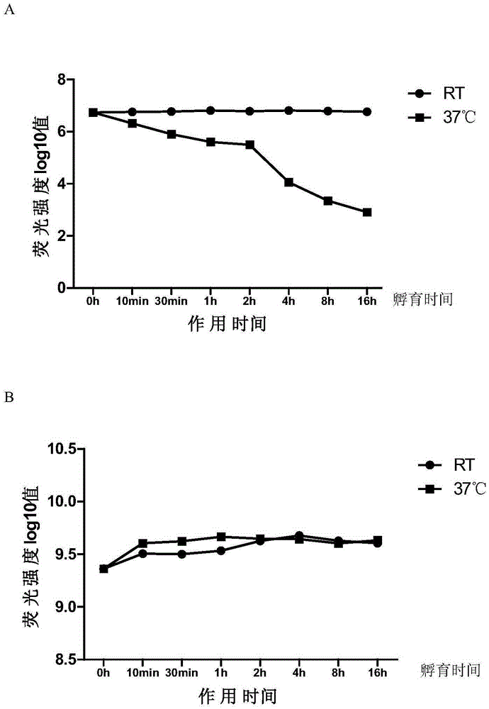 System for detecting tick-borne encephalitis virus infection