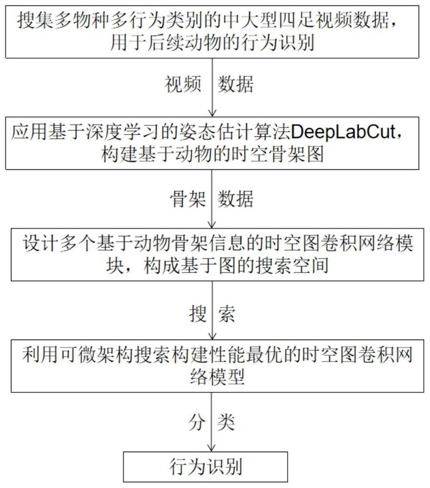 Medium-and-large-sized quadruped animal behavior identification method based on architecture search graph convolutional network