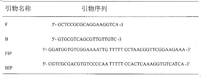 Method for detecting high-pathogenicity blue ear disease