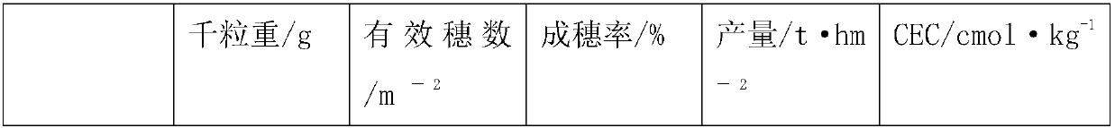 Carbon-based long-acting compound fertilizer and preparation method thereof