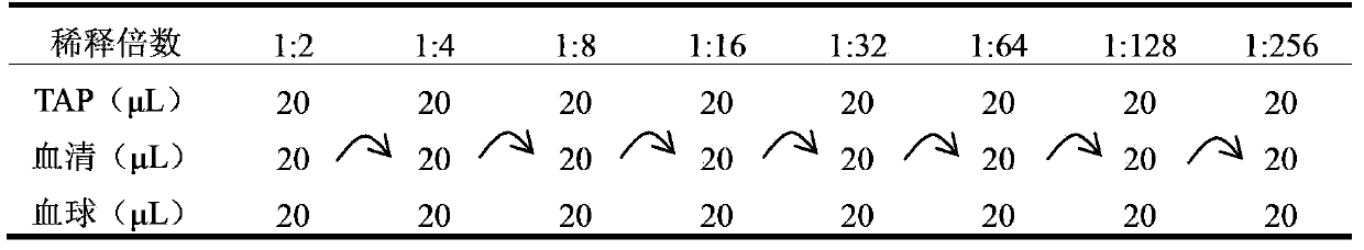 Haemophilus parasuis indirect hamagglutination detection reagent