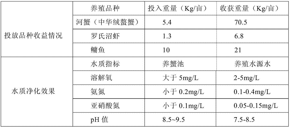 Ecologic breeding method of river crabs