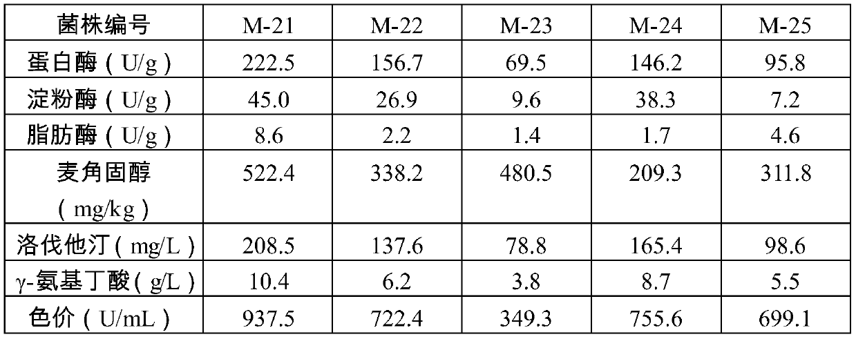 Monascus strain, fermented soybean meal fermented by monascus strain and aquatic functional biological feed containing monascus strain