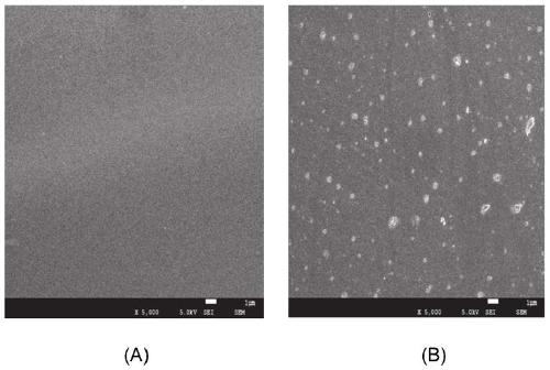 Composite coating and preparation method and application thereof