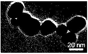 Novel photo-irradiation induced self-repairing precious metal nano composite hydrogel and preparation method thereof