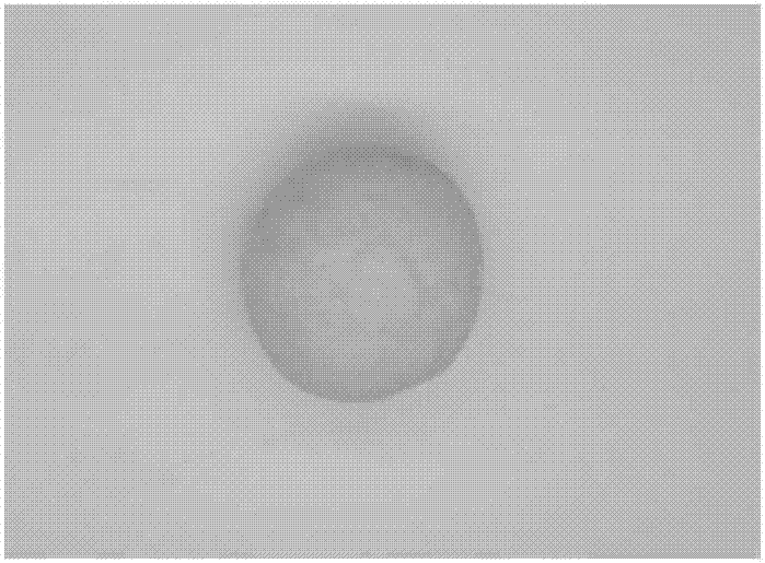 Normal-temperature freshness retaining high-content oat steamed buns and processing method thereof