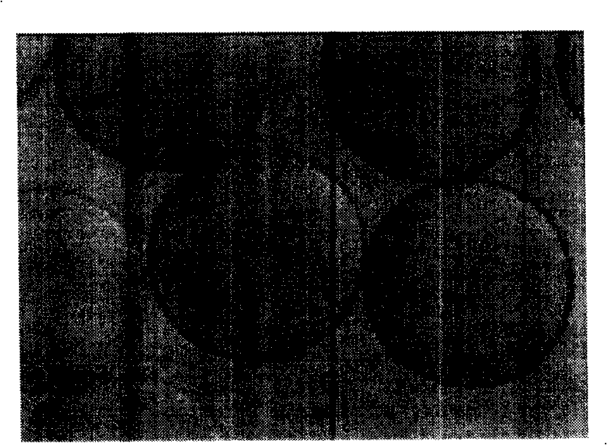 Multichannel electrode with same variable electric field force