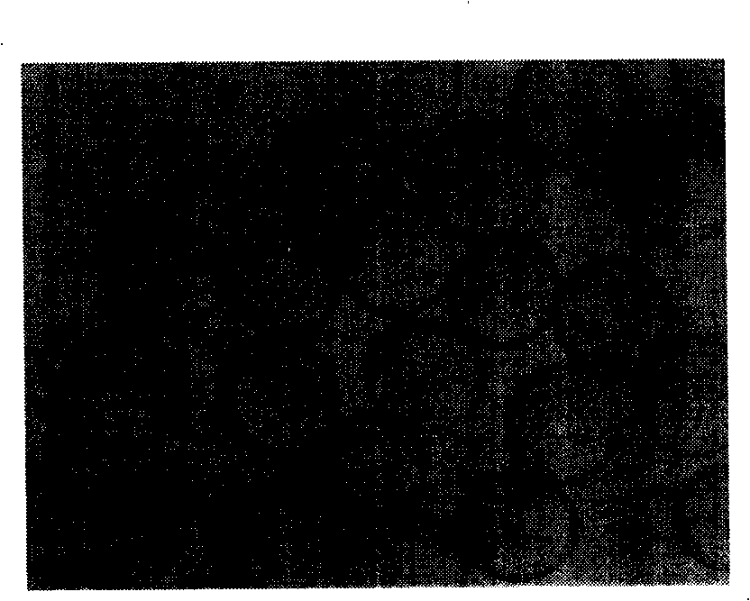 Multichannel electrode with same variable electric field force