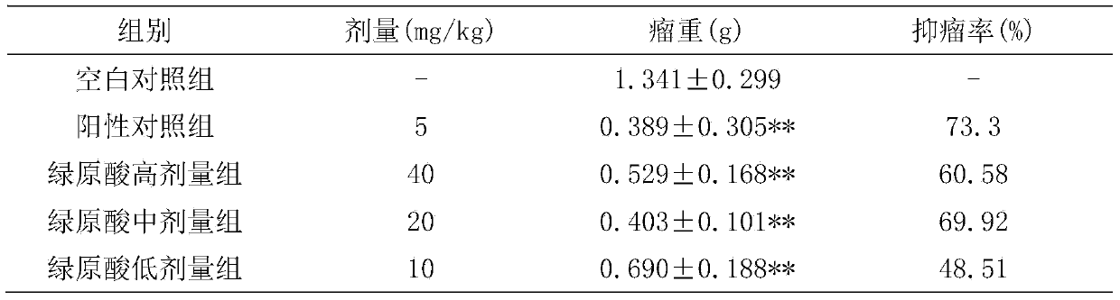 Usage of chlorogenic acid in preparation of drug for treating oligodendroglioma