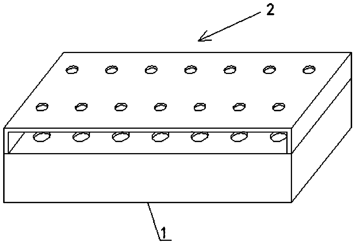 A device and method for introducing exogenous inducer into soft-shelled turtle eggs