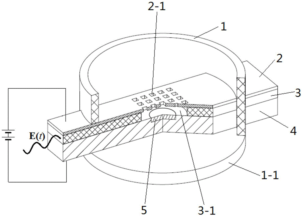 Cold cathode electronic gun modulated by microwave