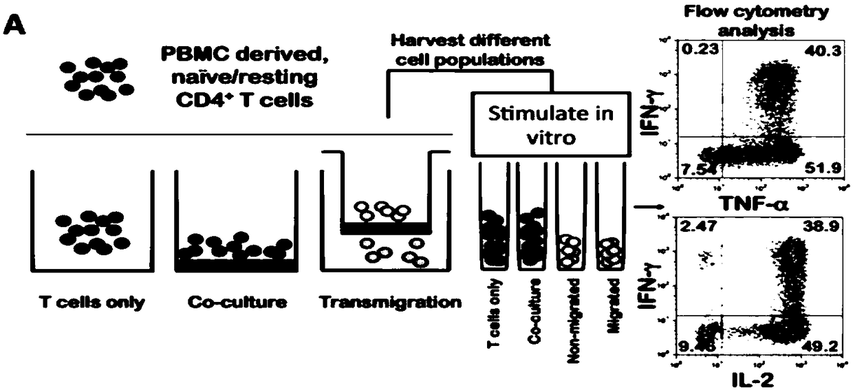 Kits, methods and applications for highly sensitive detection of T cells and their functions