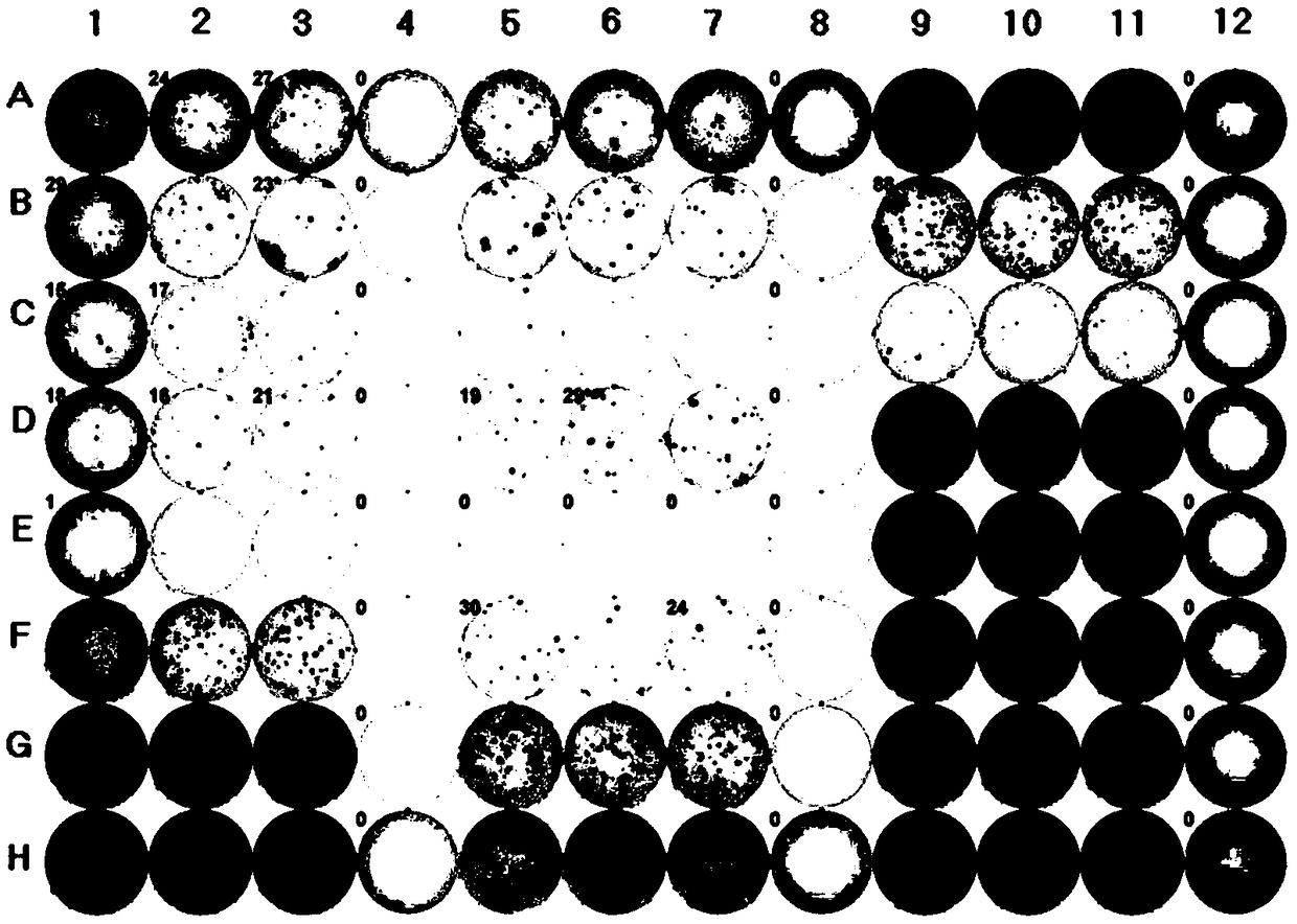 Kits, methods and applications for highly sensitive detection of T cells and their functions