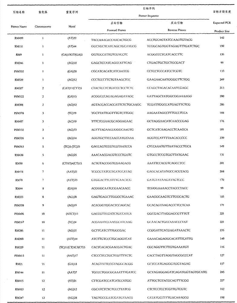 Molecular marker for japonica rice genetic diversity analysis and authentication method for molecular marker