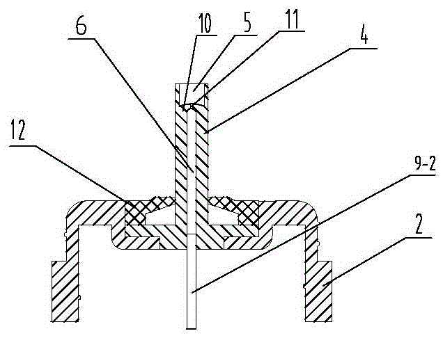 Glass cover and glass easy for water drinking in recumbency