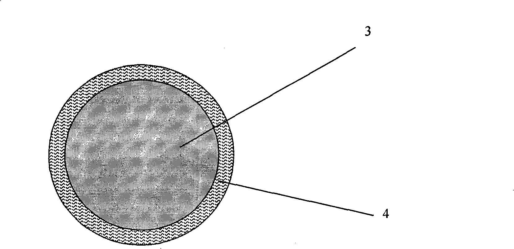 Catalyst used for proton exchanging film fuel battery and method for producing the same