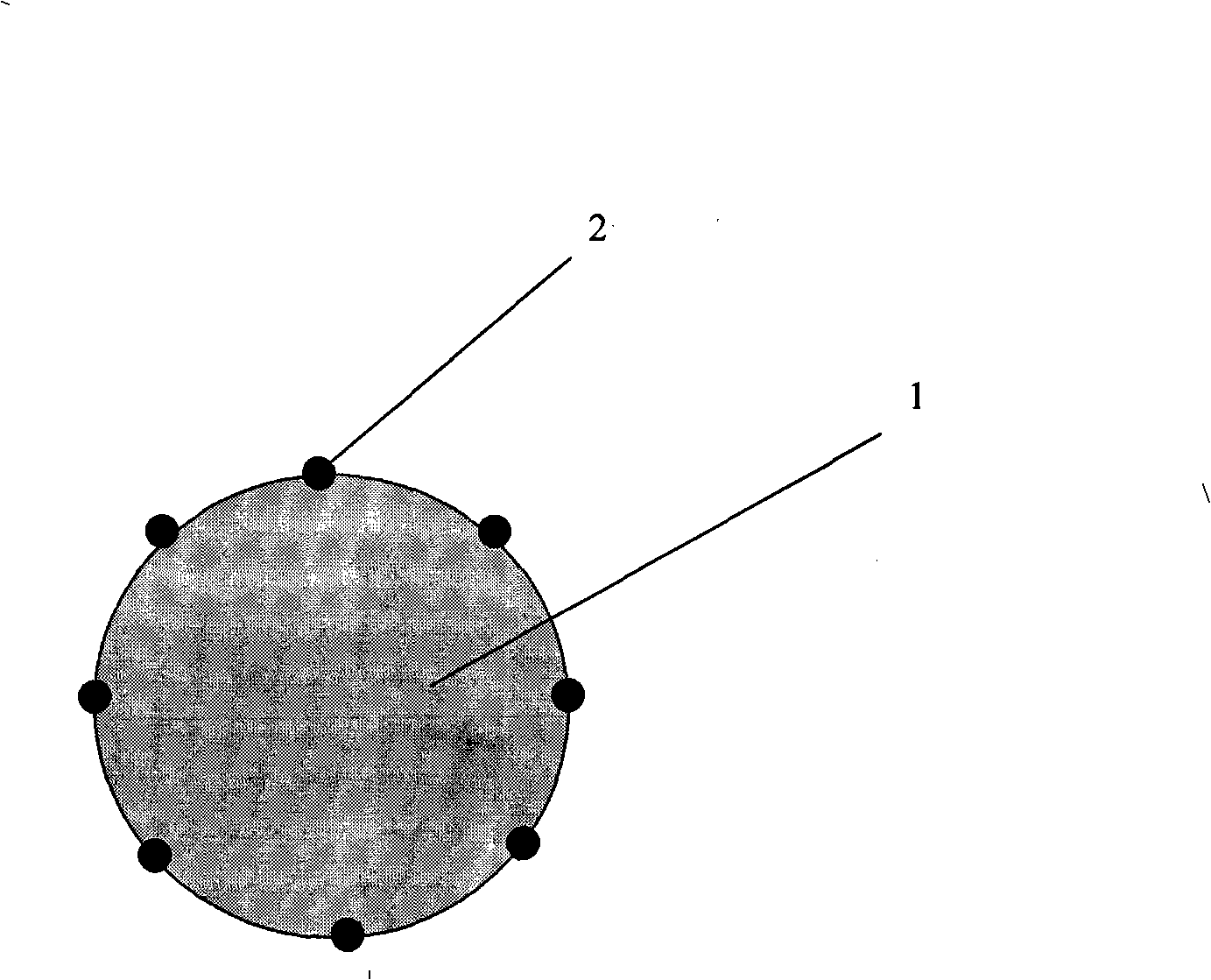 Catalyst used for proton exchanging film fuel battery and method for producing the same