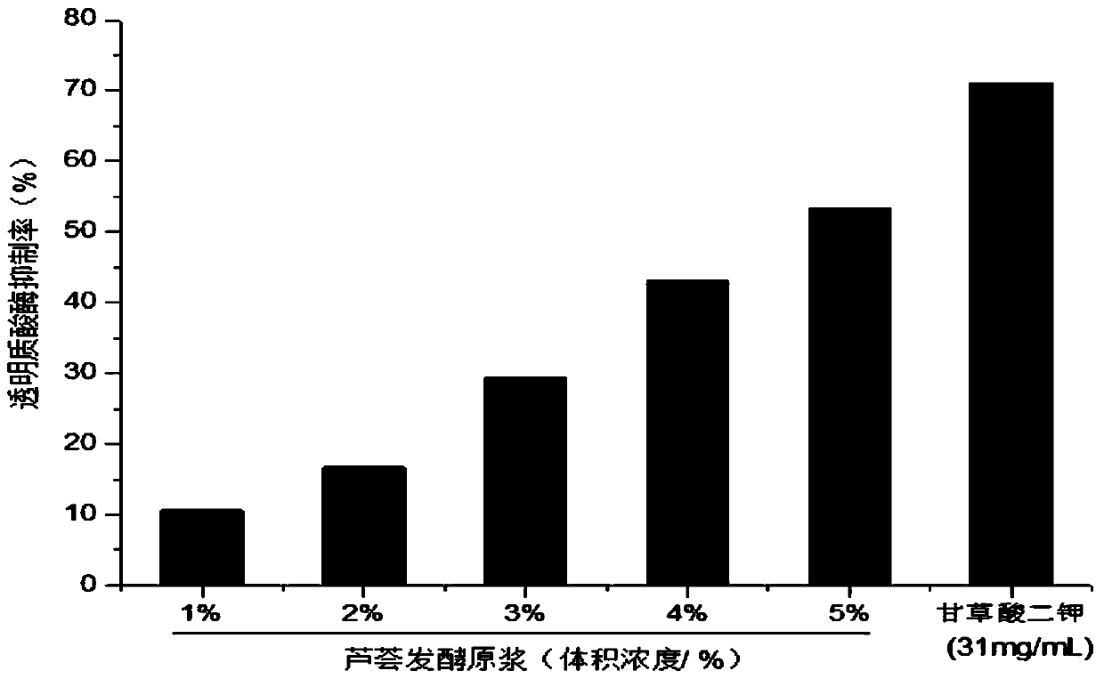 Aloe primary pulp fermented with lactobacillus pentosus, and preparation method, preservation method and application thereof