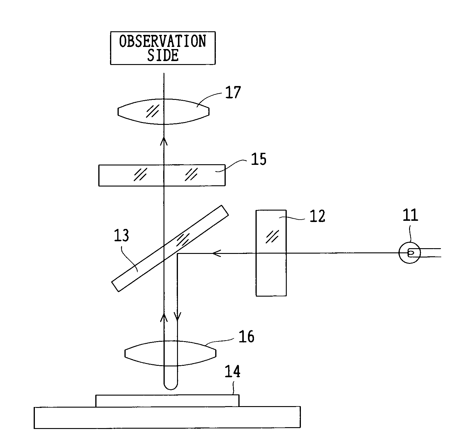 Fluorescence observing apparatus