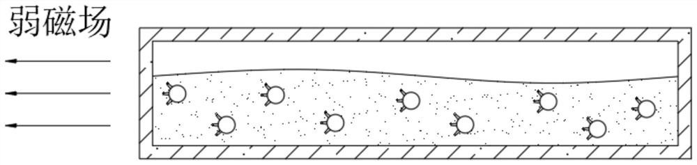 Dynamic fermentation method of organic feed